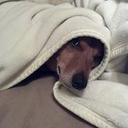 Mel Harmon - @charminmelharmn - Twitter