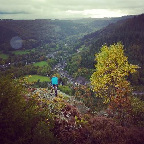 GrubberMitch's profile picture. 