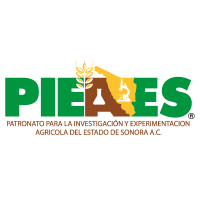 PIEAES, A.C. (@pieaes) 's Twitter Profile