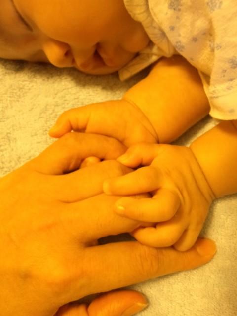 長男(享年18歳猫型)他人型2名