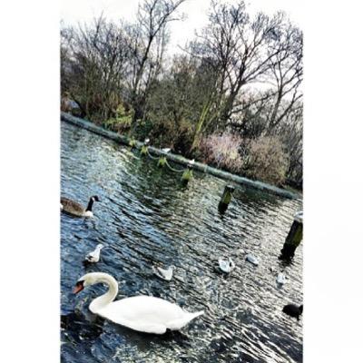 _SarahSulaiman's profile picture. اللهم ارحم عبدالله واغفر له يارب العالمين