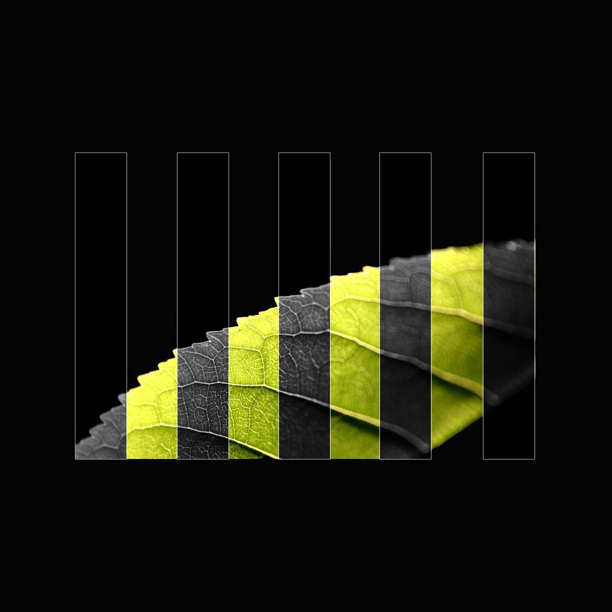 IMAGENVIDEOGRAF's profile picture. 