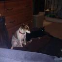 paul spackman - @SpackmanPaul - Twitter