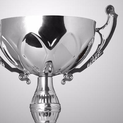 GiftTreeIreland's profile picture. http://t.co/BtZadhXuBz - Online Giftshop Personalising and Engraving Trophies, Award, Medals & Gifts. Delivering to your door anywhere across Ireland.