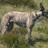 gdwandcmw's profile image