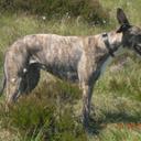 Christine Webster - @gdwandcmw - Twitter