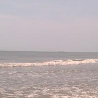 KPT (@kaylathrush) 's Twitter Profile