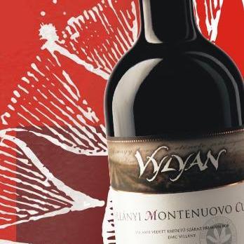VylyanPinceszet's profile picture. Winery of the Year 2008, Hungary