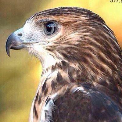 994dcb41043f4c7's profile picture. 