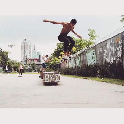 plow