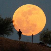 Abdullah,,3003,,fm (@mdll99991) Twitter profile photo