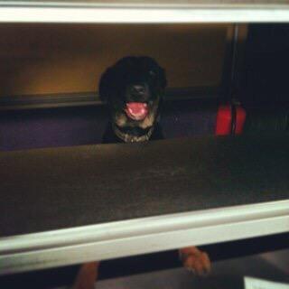 littlebritfood's profile picture. @windmillinn @bluebellrothley @thecurzonarms @crowndalby