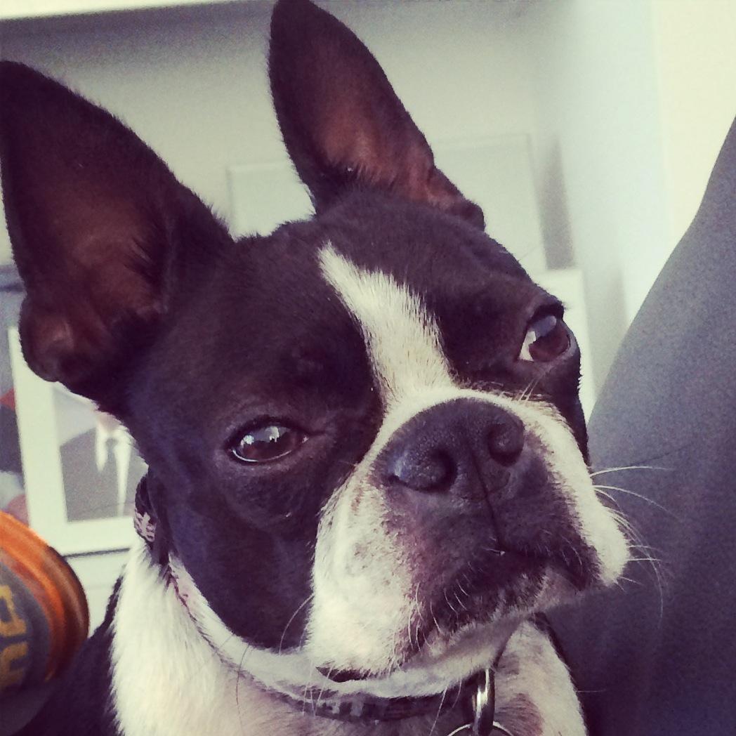 sweeny21's profile picture. 