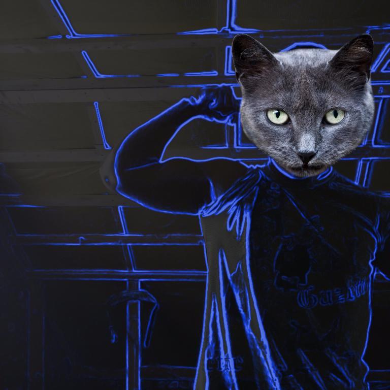 K0r9ga's profile picture. секретарь-референт