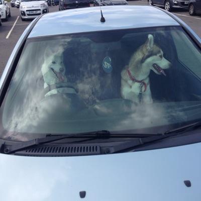 craigfishbourne's profile picture. 28 years old,happily engaged to sarah, play left back for  trethomas bluebirds players player 14/15