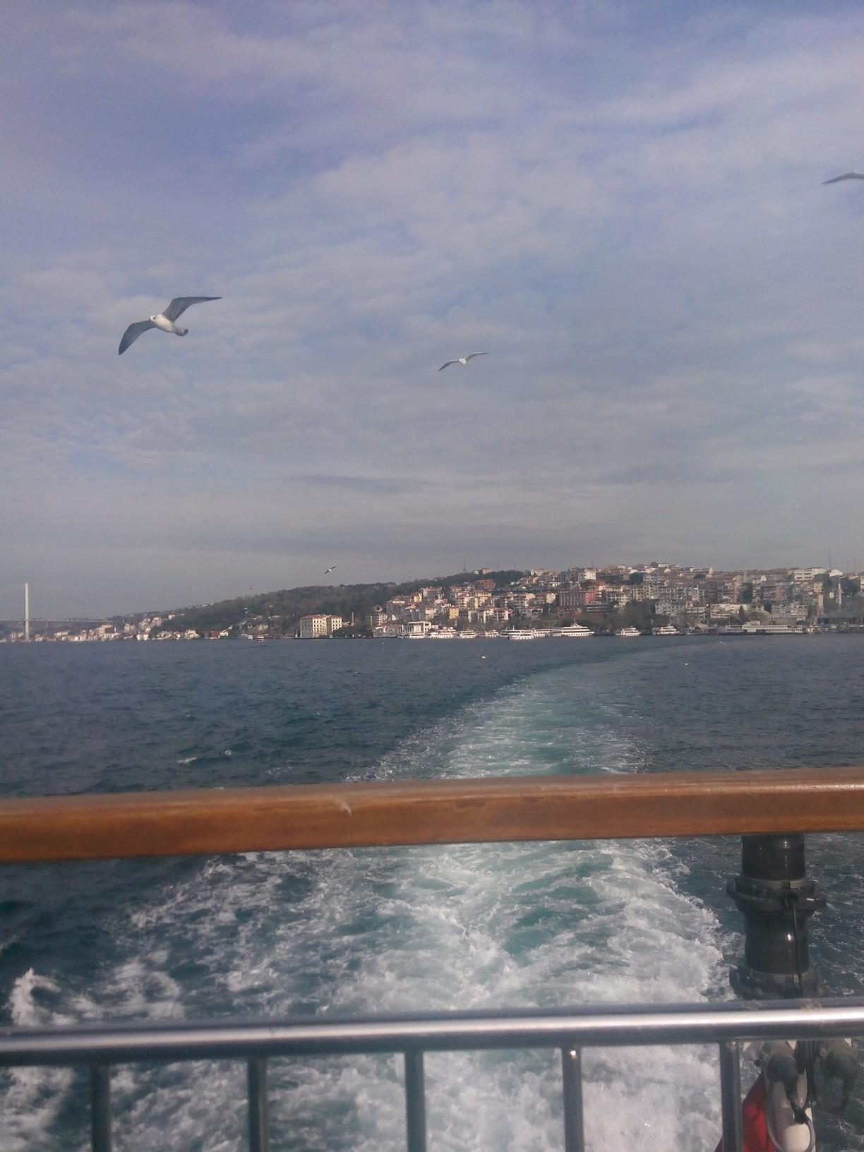 orkrky6363's profile picture. 