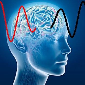 TheBrainDriver tDCS Peak Performance Technologiesさんのプロフィール画像