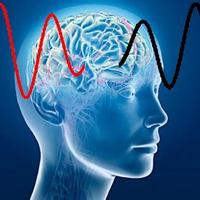 TheBrainDriver tDCS Peak Performance Technologies(@thebraindriver) 's Twitter Profile Photo