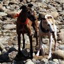 Alain Bergeron - @SquarelyDeadly - Twitter