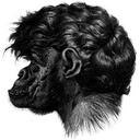 Mario Guay - @marioguay - Twitter