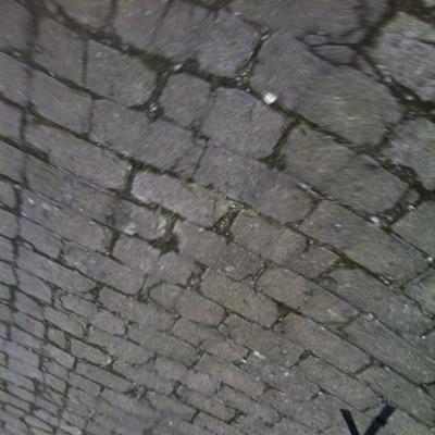 GMylan's profile picture. 