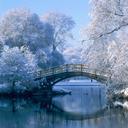 Avery Goesselin - @AveryFlowerBud - Twitter