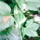 Ian Thorne - @XvKingofzionlg - Twitter