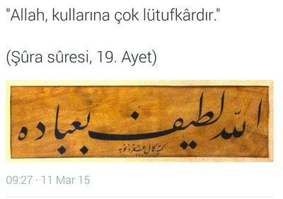 1071sinoplu's profile picture. 