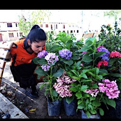 Oficial_Regii's profile picture. 16/Songwriter.Agradecida con DIOS. Ajustense los cinturones y por favor permanezcan sentados.Voy en un vuelo propenso a estrellarse y, sin embargo,sigo volando