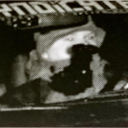 chaase1337 Profile Picture