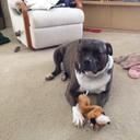 Deb Hartman - @DebMornndew - Twitter