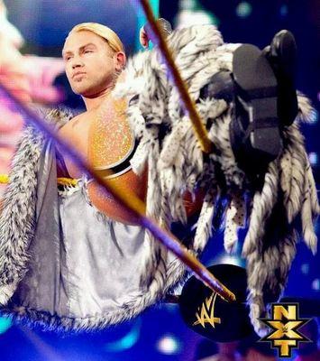 trollollollo Brie Bella 4 World Heavyweight champion 
Big show (pg legend) is the best light weight high flyer ever #RYBACKRULES