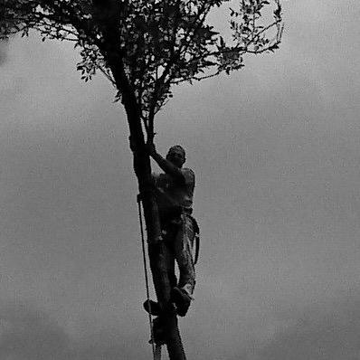 Committed to providing the highest standard of tree care. Residential, Commercial, Agricultural. Serving Blackhawk, Bremer, & Butler counties in NE Iowa.