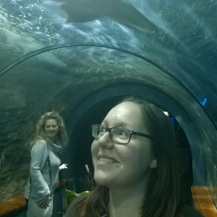 nelippi's profile picture. Trying to live up to the dreams of little girls and the responsibilities of young women. Student. Most tweets in Finnish.