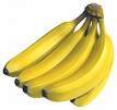 majesticbanana's profile picture. Bananas are yellow, except when they are green, or brown.