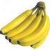David Taylor (@majesticbanana) Twitter profile photo David Taylor (@majesticbanana) Twitter profile photo