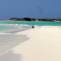 Ainara Tours (@ainaratours) 's Twitter Profile