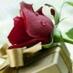 ورد (@fadwarawashdeh) Twitter profile photo