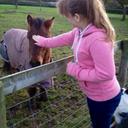 libby pearce - @libbypearce2 - Twitter