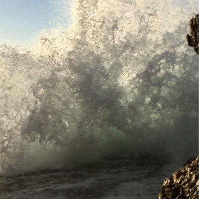 Jou83378636's profile picture. Manager07ibiza@