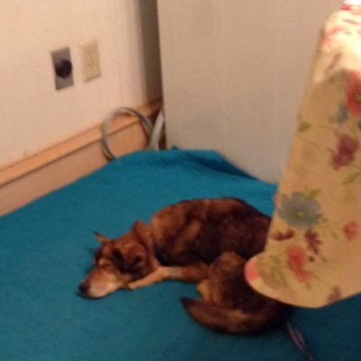 natalierere09's profile picture. 