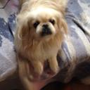 Ruth Thacker - @thackerruth - Twitter