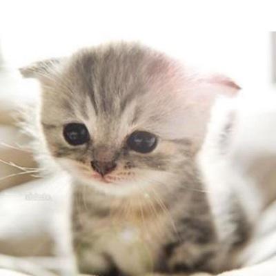 1217Burgoos's profile picture. Amigable,buen amigo y sincero.