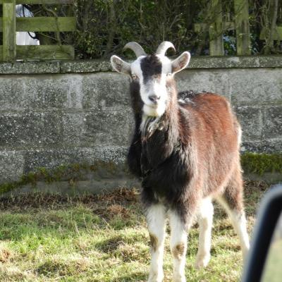 Killaird's profile picture. Golfer, Ulster rugby supporter, Man Utd fan, nature lover