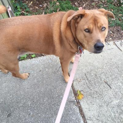 morrisey72's profile picture. 