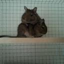 Sam Bunting - @buntin2012 - Twitter