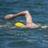 ferchobahia's profile image