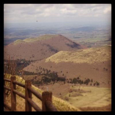 JulietShrine's profile picture. 