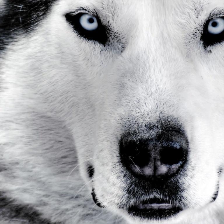 verotov's profile picture. 