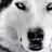verotov's profile image